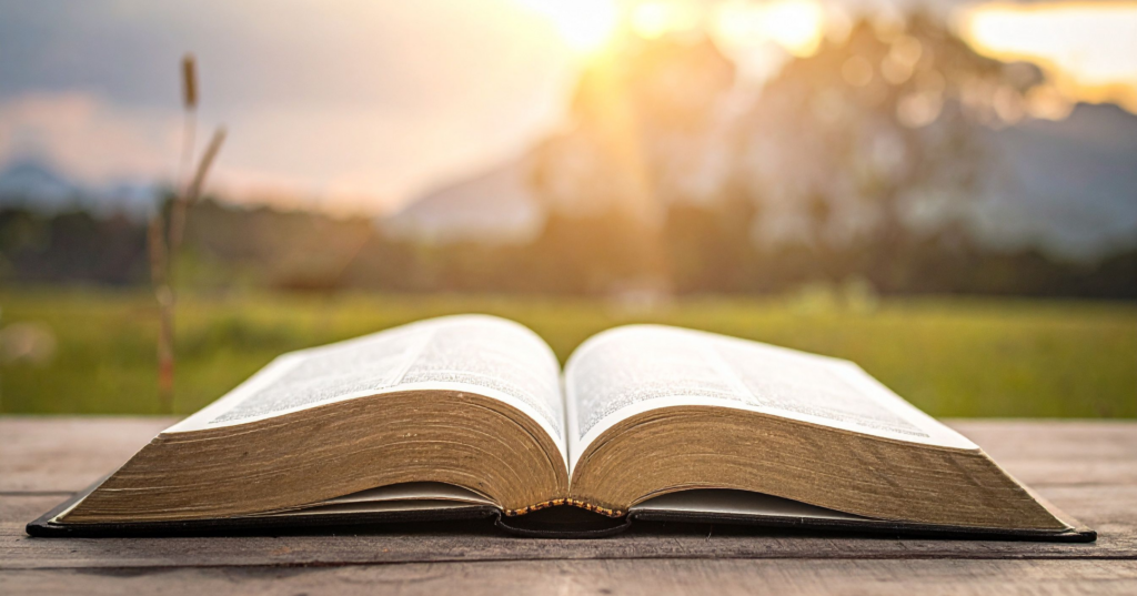 夕日を背景に開かれた本。恋の展開を占いで読み解くイメージ