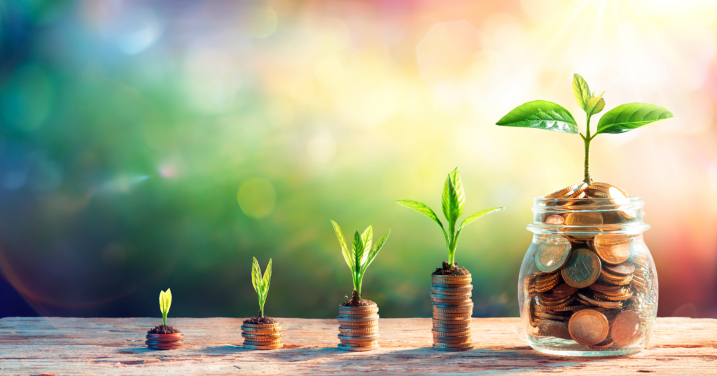 コインの上で芽が育つ写真。恋の未来や成長を占いで見守るイメージ