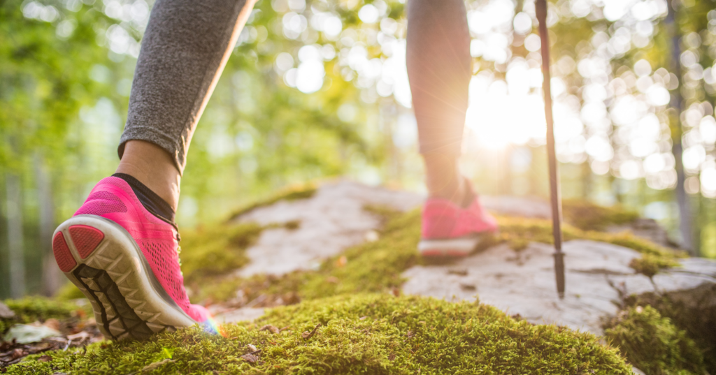 森の中を歩く足元の写真。恋の前進や行動を占いで後押しするイメージ