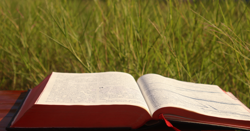 芝生の上に開かれた本。恋の悩みを占いで言葉にするイメージ